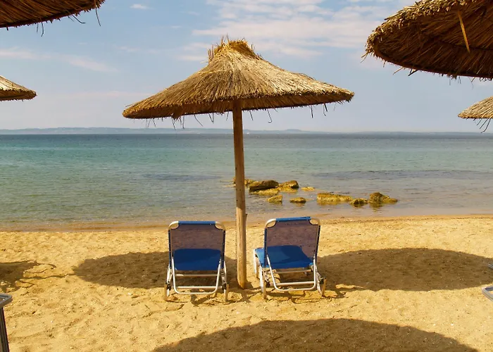 Village Mare ميتامورفوسي